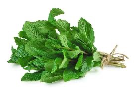 Verse Mint