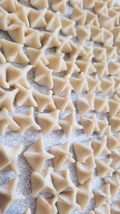 Seval Manti 900G