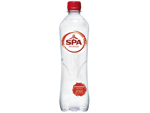 Spa Bruis 0.5L