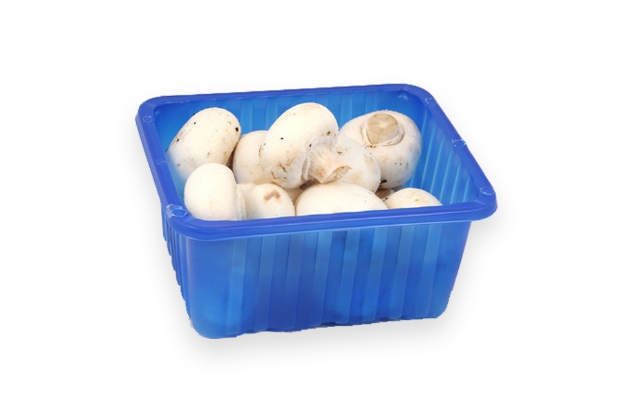 Bakje Champignon