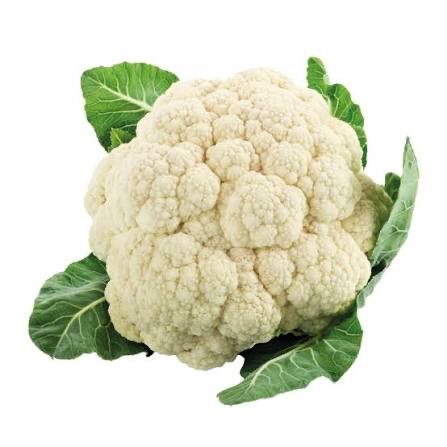 Bloemkool