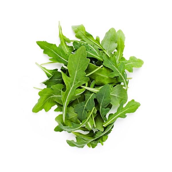 Ruccola
