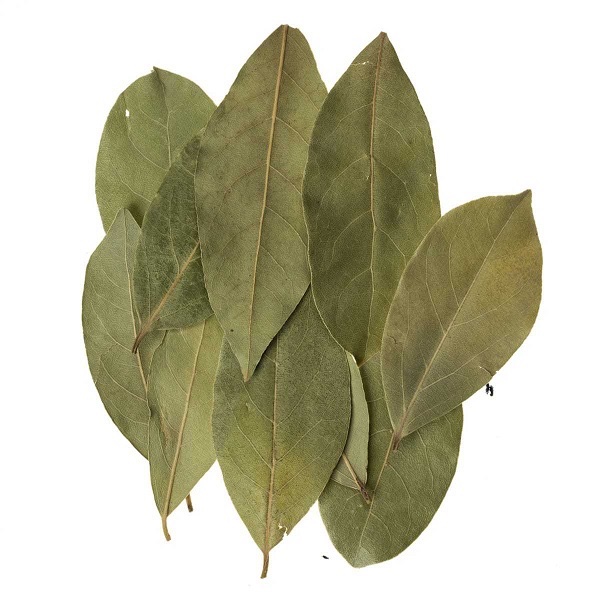 Edessa Laurier Bladen 12G