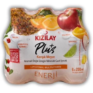 Kizilay Plus Karisik Meyve 6P