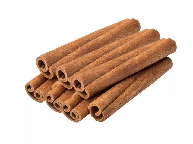 Basak Cubuk Tarcin 45G