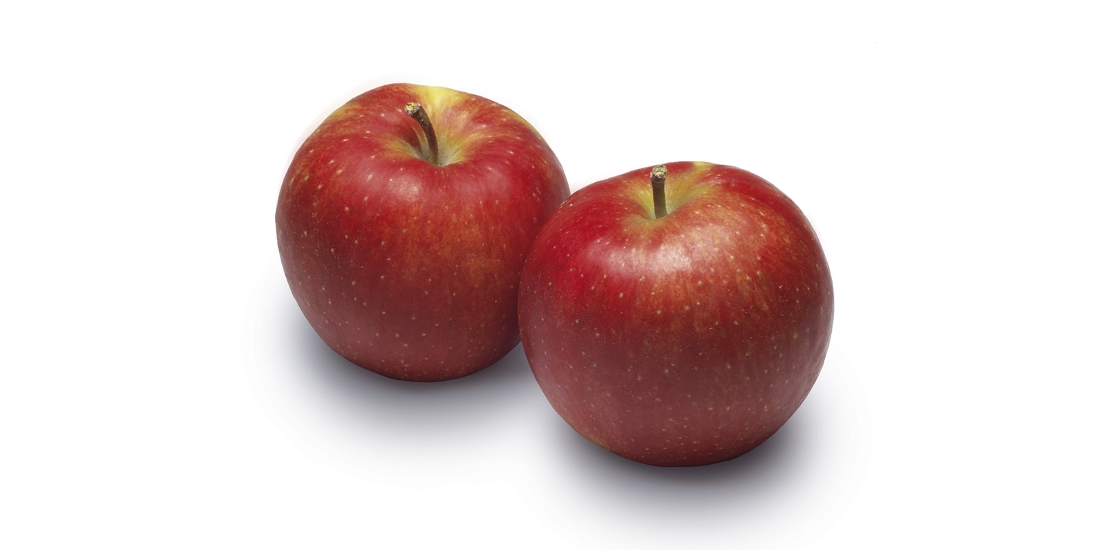 Appel Jonagold
