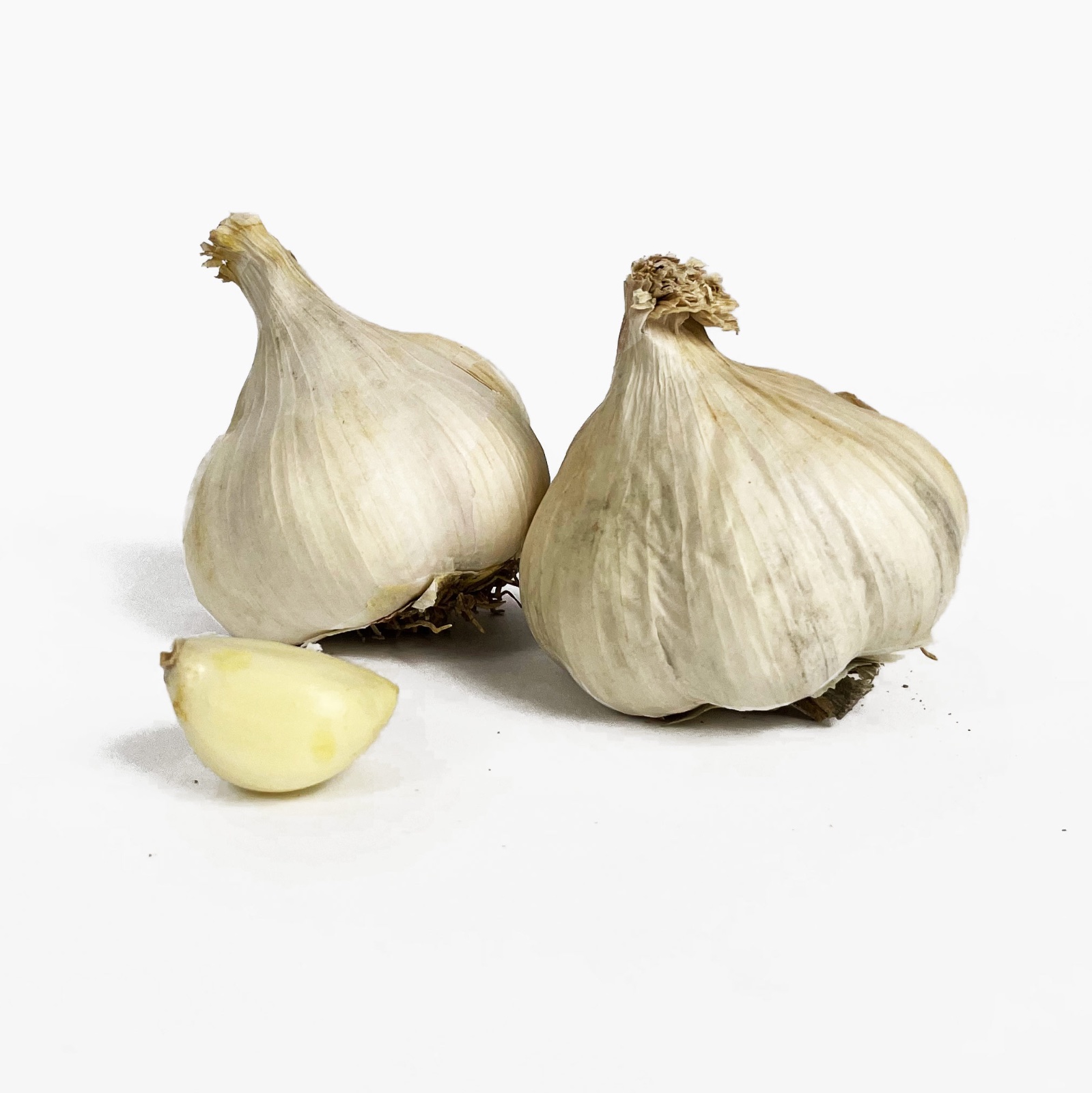 Bot Knoflook