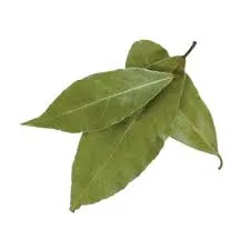 Sifa Laurierblaadjes 12G